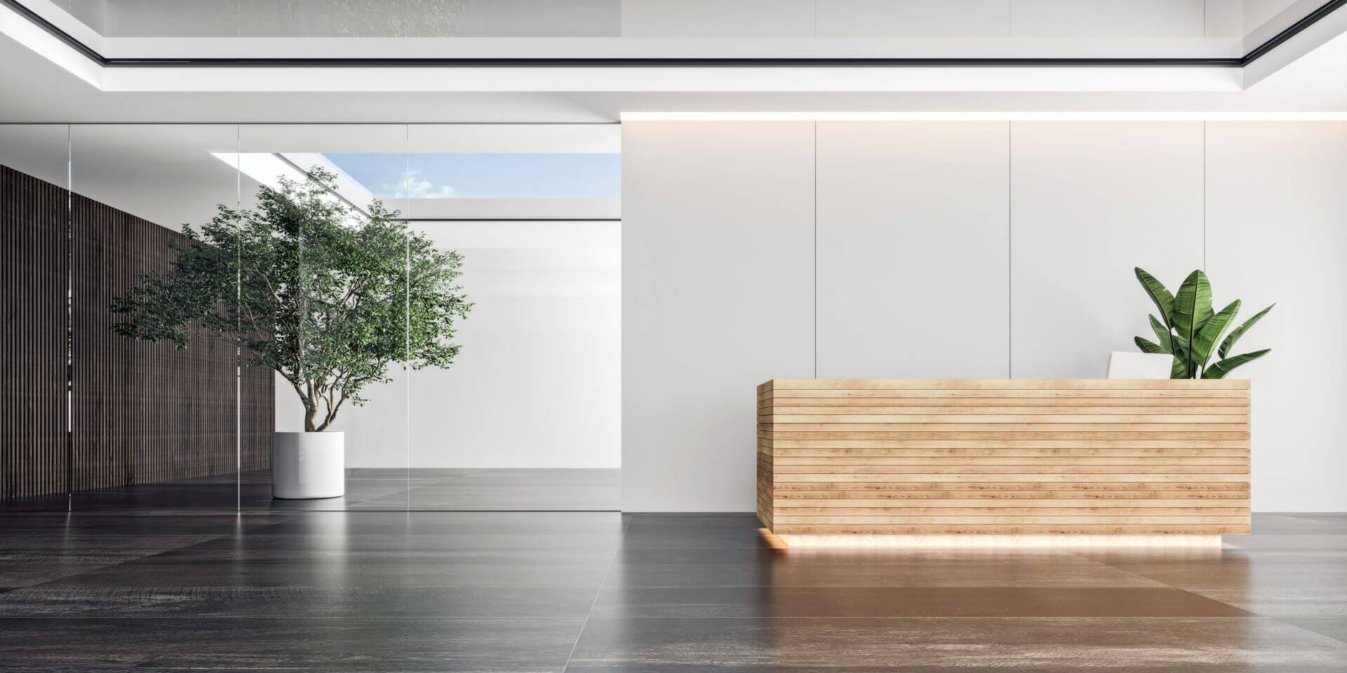 Modern office lobby with wooden reception desk and plant   - Dermatology Matters